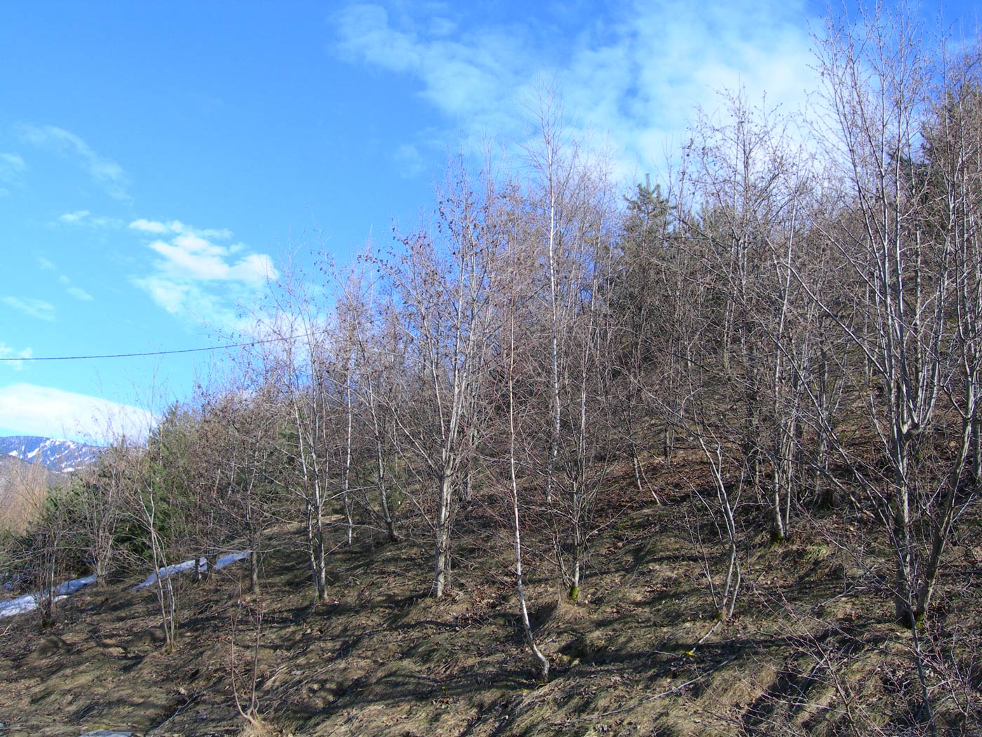 ripristini-4